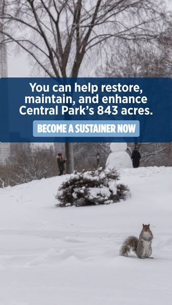 Sustain Central Park Year-Round