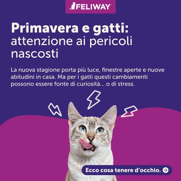 Feliway Italia
