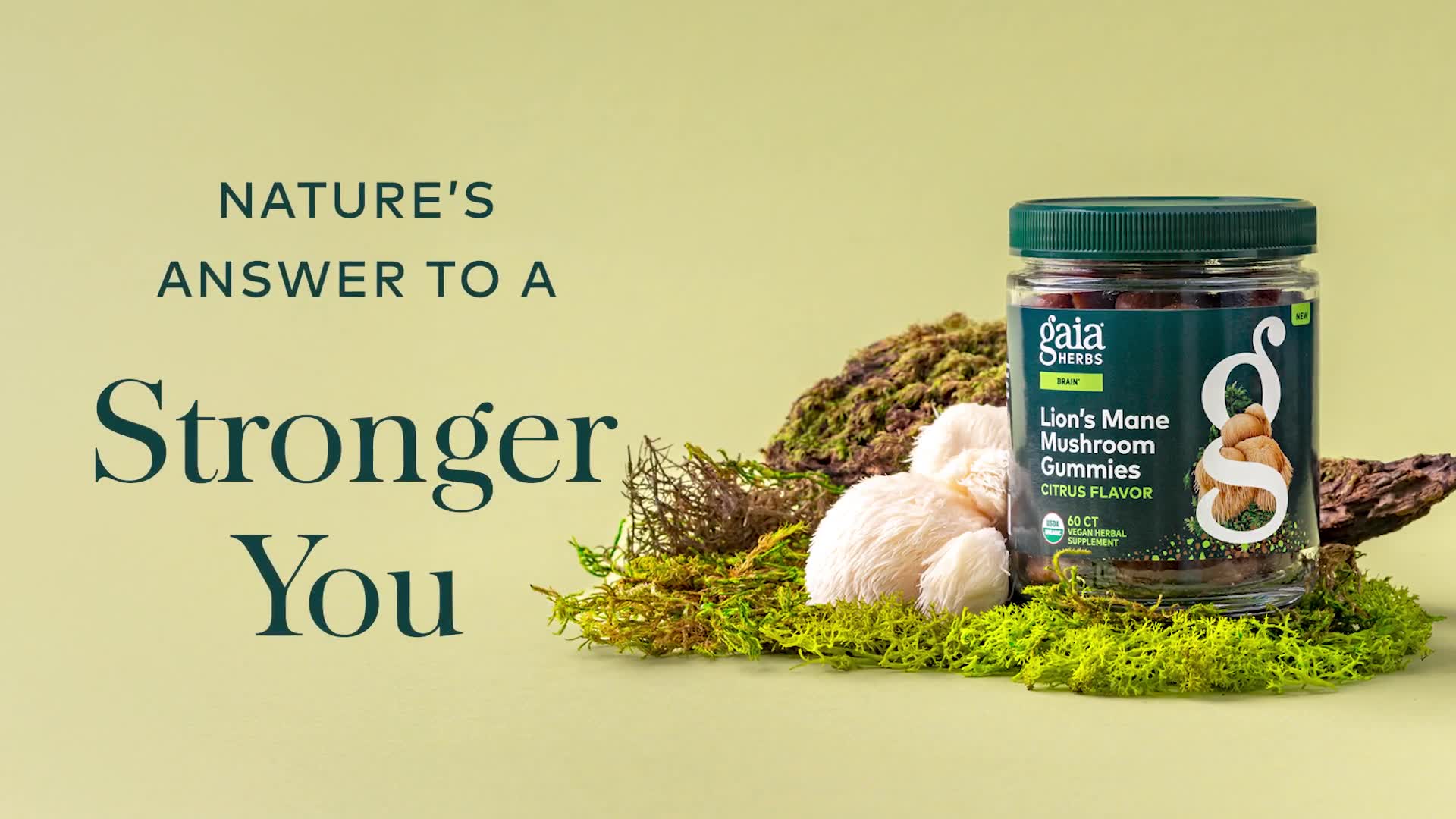 Introducing New Lion’s Mane Mushroom Gummies