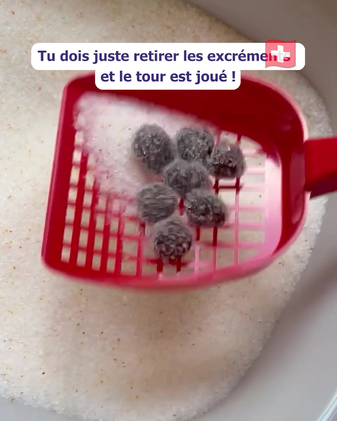 Payez avec TWINT