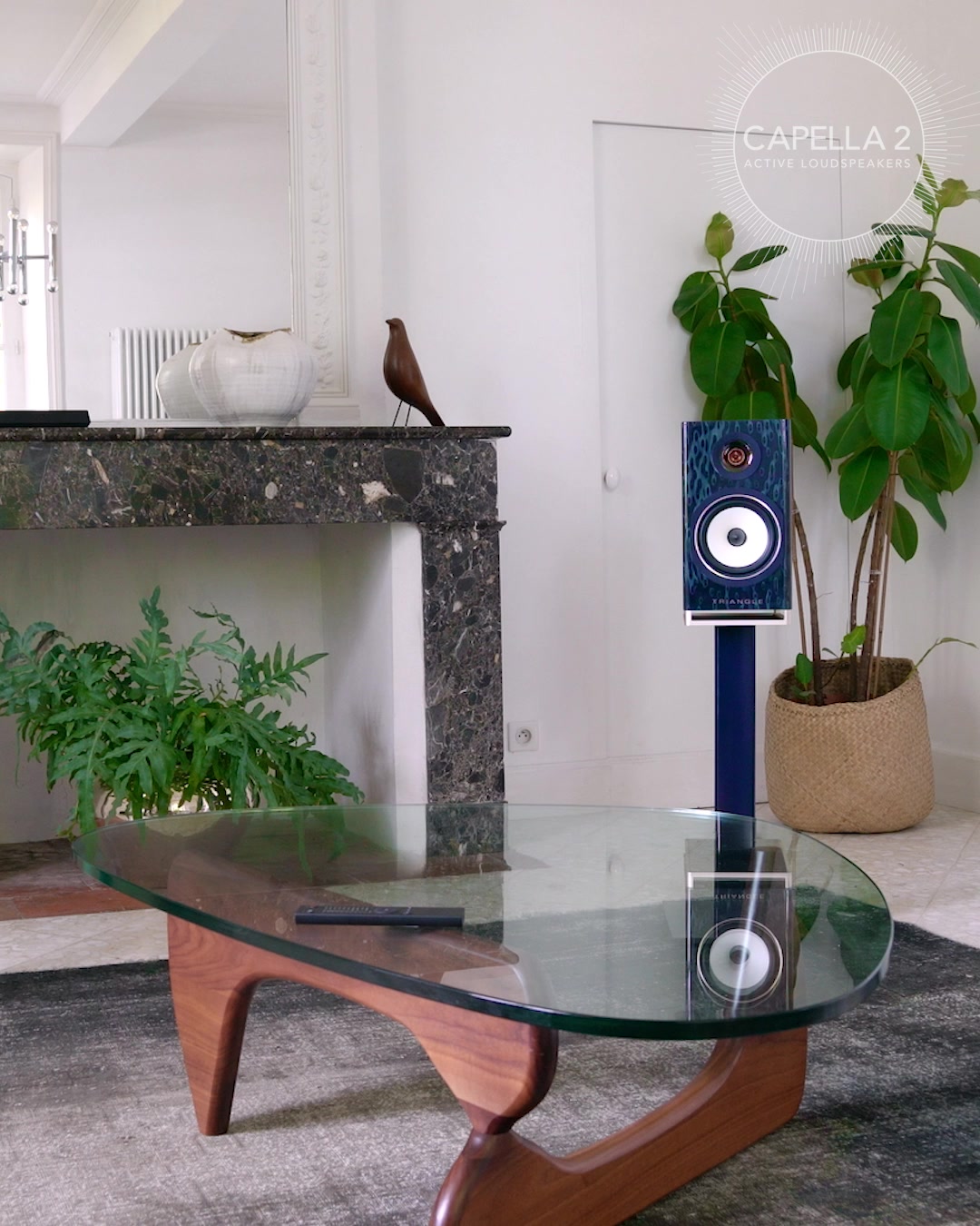 NOUVEAUTÉ : CAPELLA 2