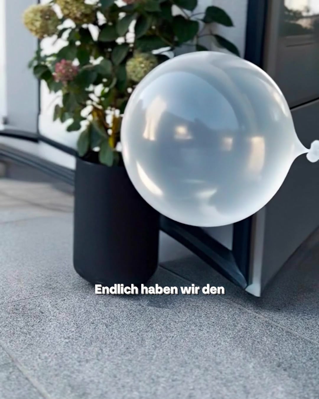 Flexibler Rolltop für kleine Entdecker