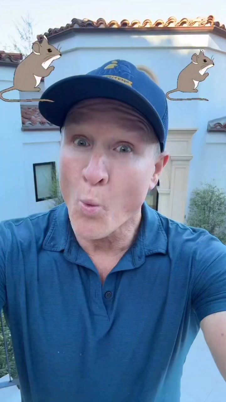 Stop Rodents From Using Your Dryer Vent