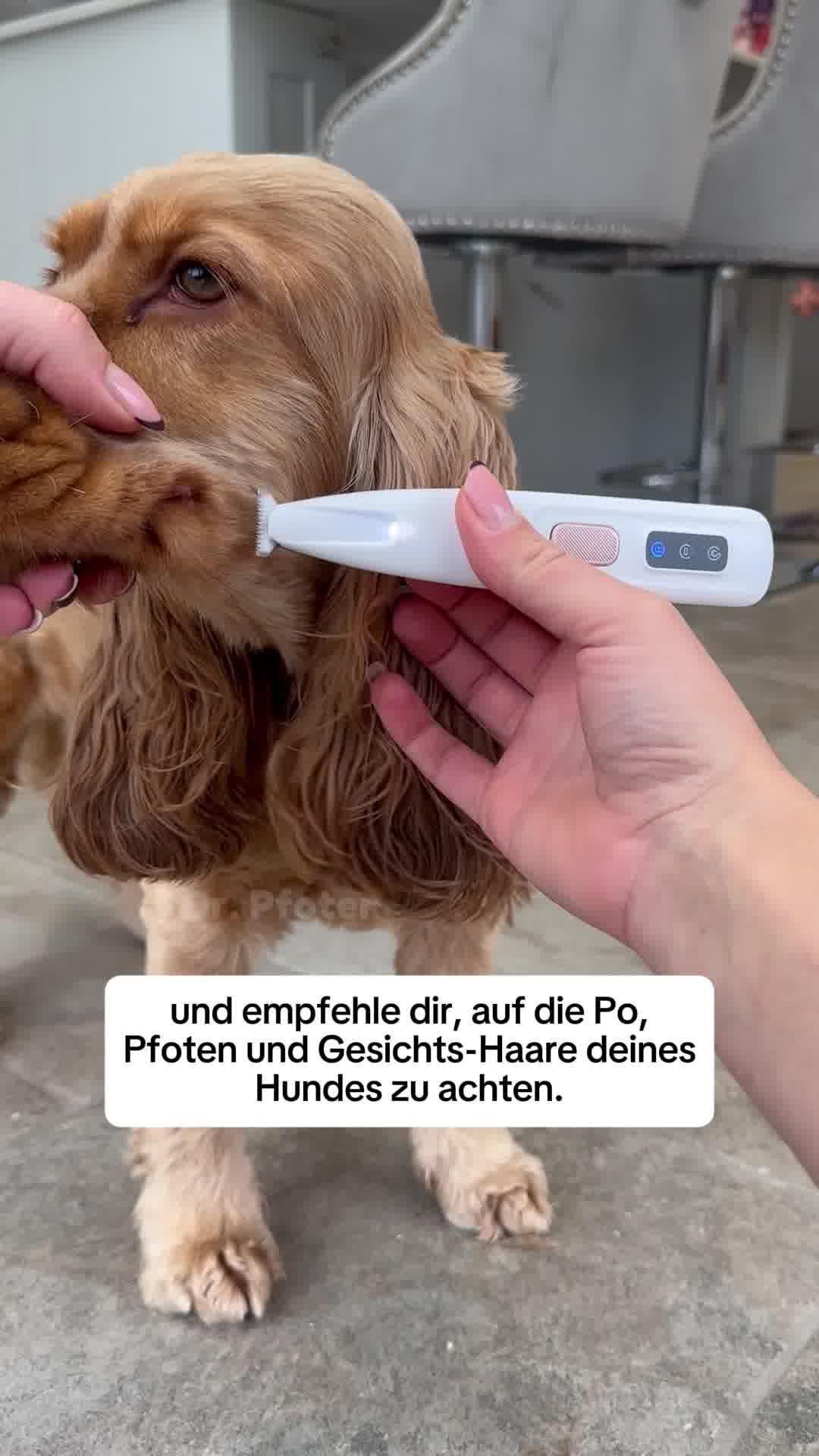 Von Tierärzten empfohlen ⭐⭐⭐⭐⭐