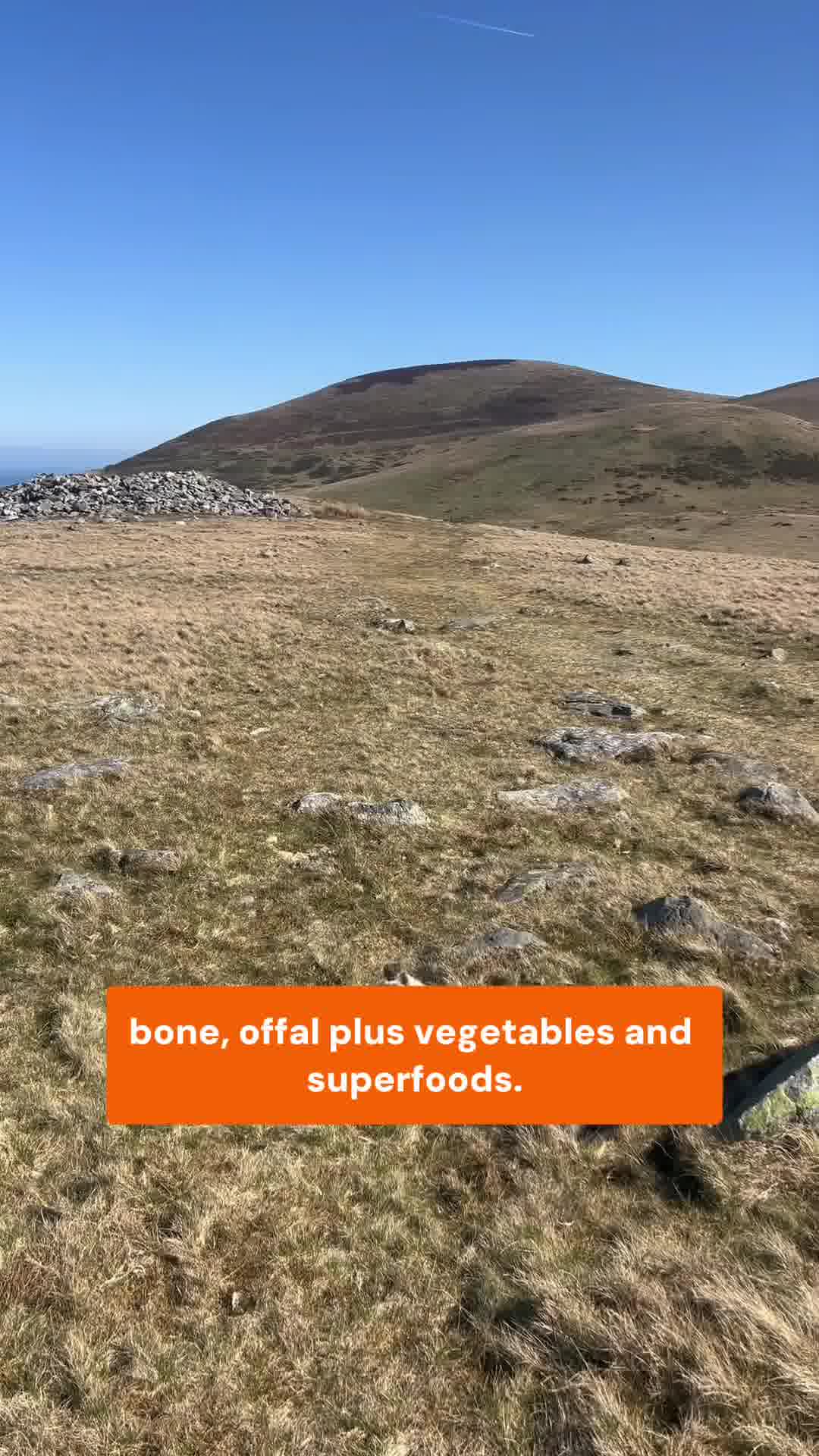 Raw Nutrition Made Easy