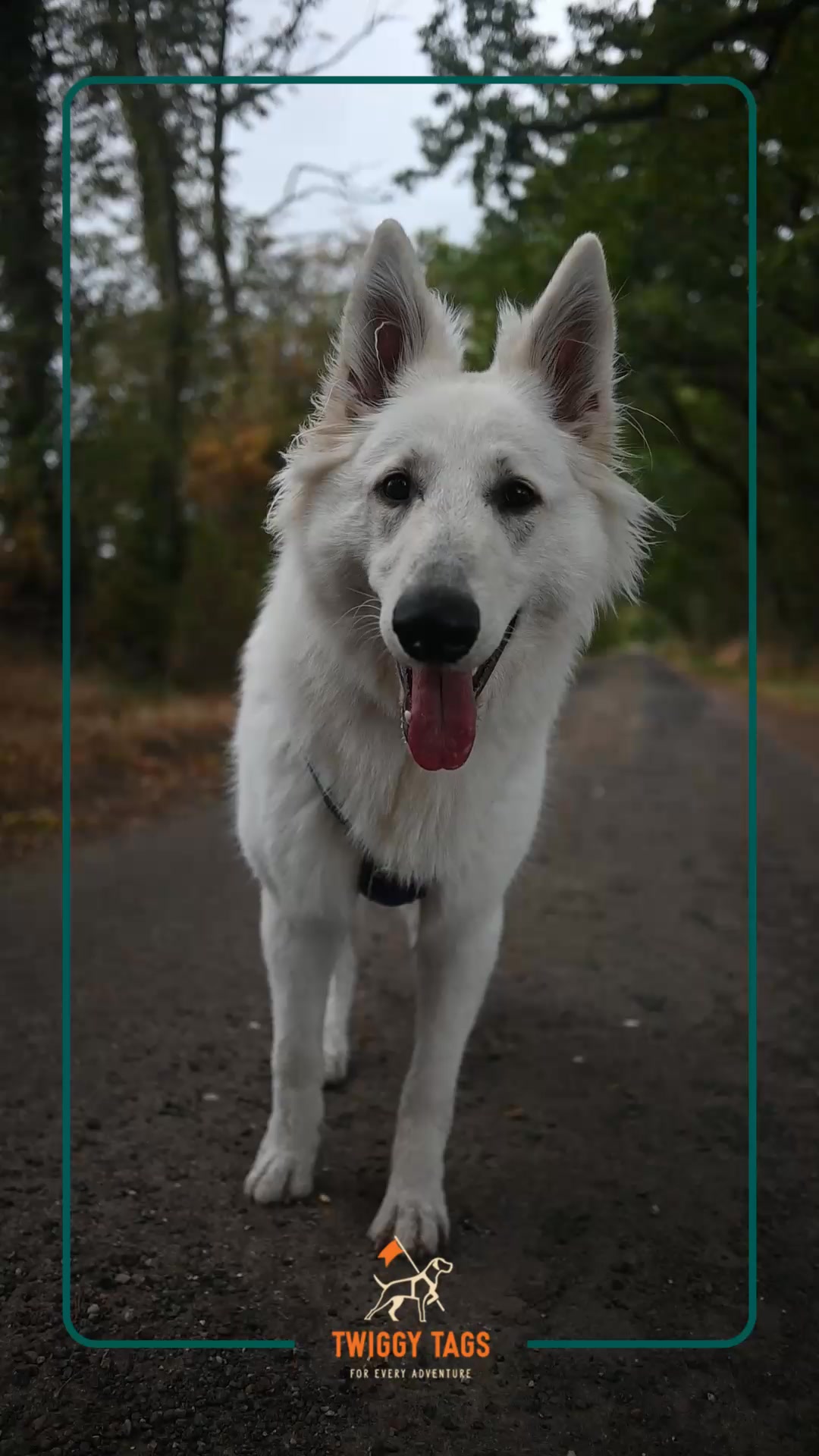 Made For Purpose, Last A Lifetime