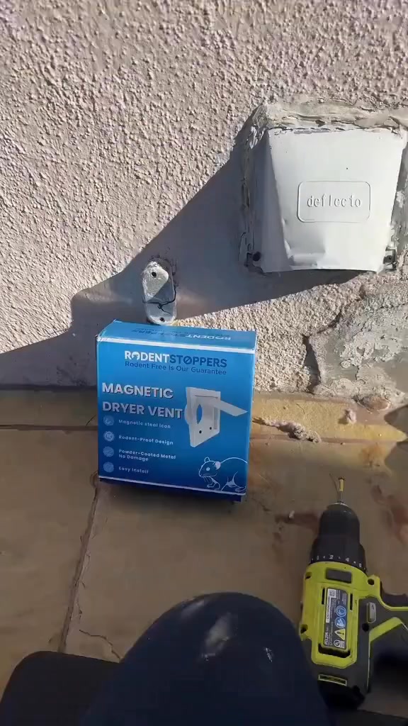 Stop Rodents From Using Your Dryer Vent