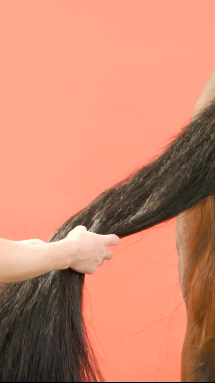 Winter mane + tail looking dry, dull and a bit tragic? 💨 🐎 

Rugs, mud, wind, brushing… winter is not kind to hair. 🌧️ 

BEAUTIFY Oil helps revitalise the look of manes and tails with a sleek, glossy finish—without that heavy, greasy feel. 🐴 ✨ 

How I use it: warm a tiny amount in hands → smooth mid-lengths to ends → gentle brush through.

Treat your horse’s hair like you would your own 💫✨ 
�Meet BEAUTIFY – the mane & tail oil that’s changing the game for glossy, healthy, tangle-free hair!

AIM FOR HEALTHY HAIR 🧡

The human version of this oil is used by hair professionals in SPA’s all over the world. 

Say no to silicones that dry out manes & tails and cause so much damage.... and HELLO to nourishing human-spa oil! 

Silicones haven’t been used in quality human hair products for years and years… so why are we still using them on our horses? 

🦄 Mane, Tail & Coat Treatment Oil
🦄 Detangle, Smooth & Shine
🦄 Grow, Hydrate & Strengthen
🦄 UV Protect
🦄 Daily Hot Cloth Oil
🦄 Human Grade, Salon Quality. Try it on your own Hair!

Used by VETS & TEAM GB Riders 

LOVE it or RETURN it Guarantee 💯 - that’s how confident we are that you will love it! 🥰 #neighked #horses