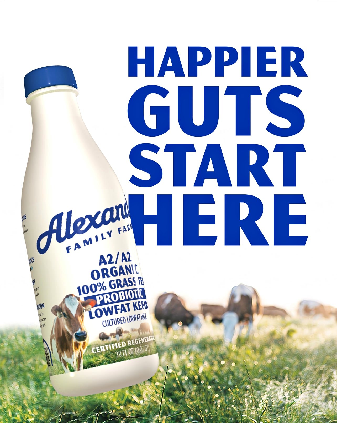 Trillions of Probiotic CFUs in Each Serving