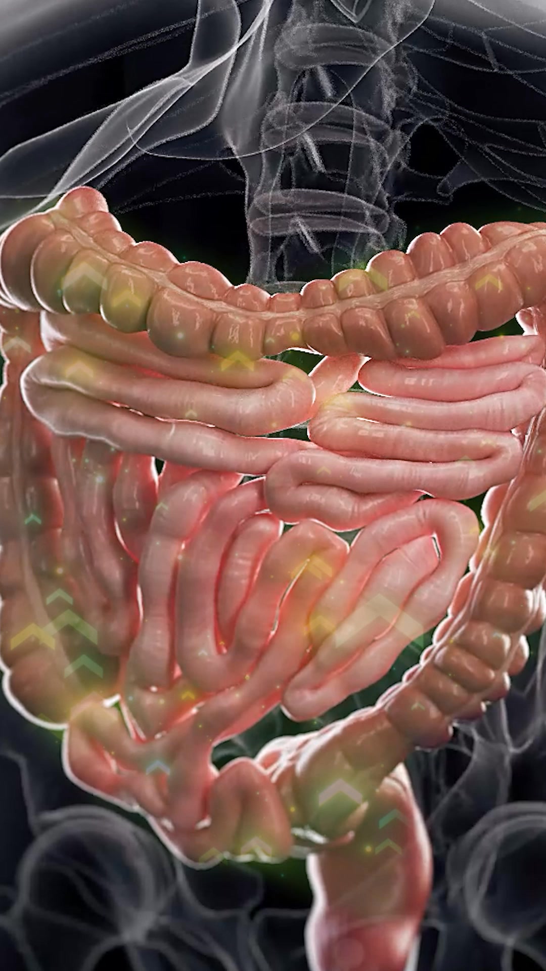 🏆 +200.000 Zufriedene Kunden