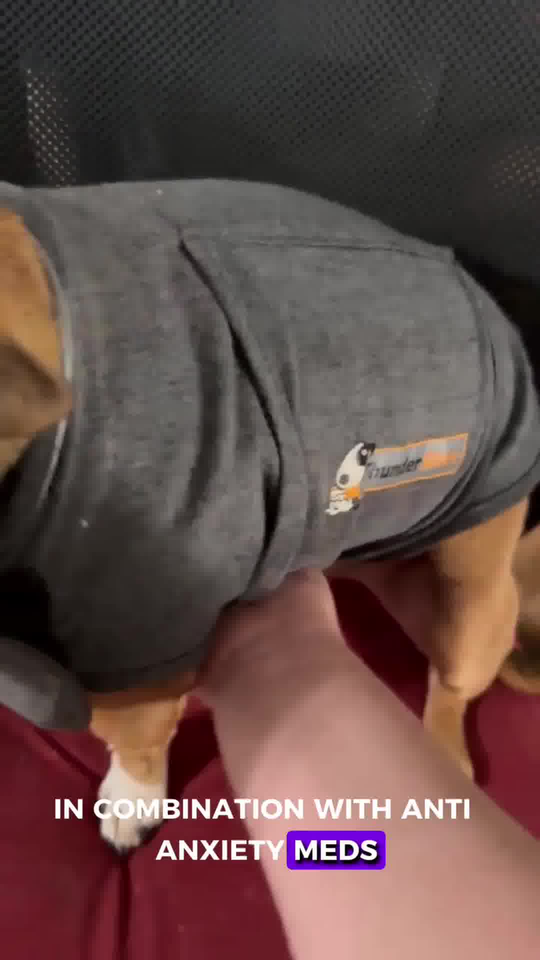 60 Day Satisfaction Guarantee