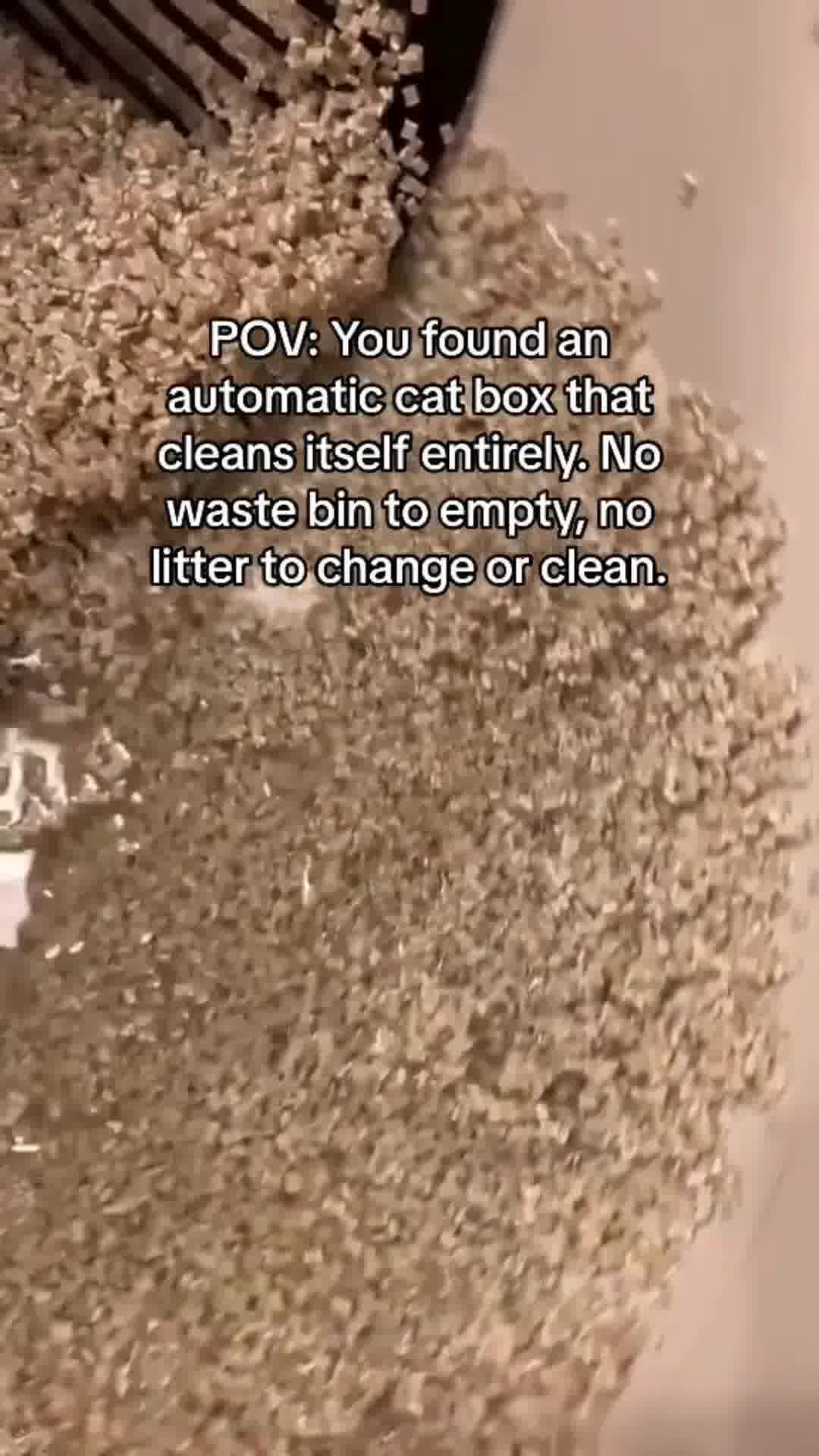 The World's Only Self-Flushing Litter Box