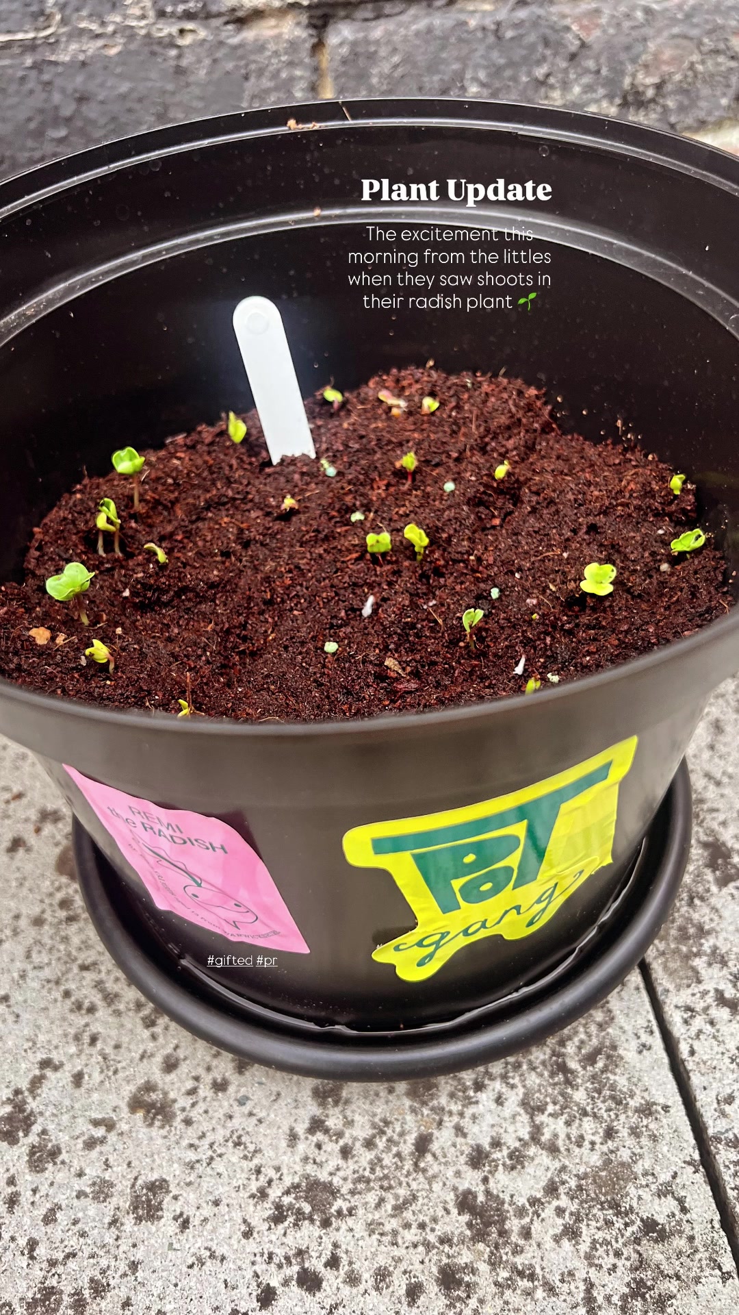 TRY A BOX THIS MONTH 🤠