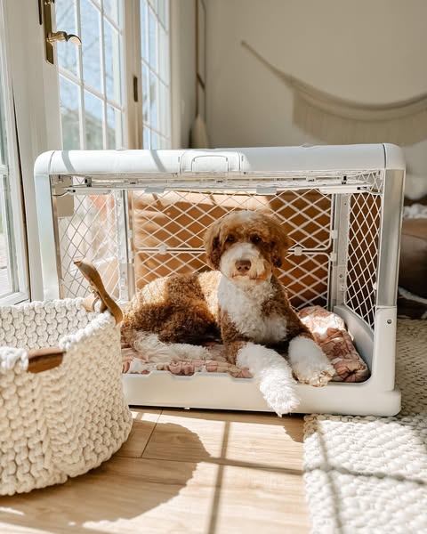 Award-Winning Crate🏆