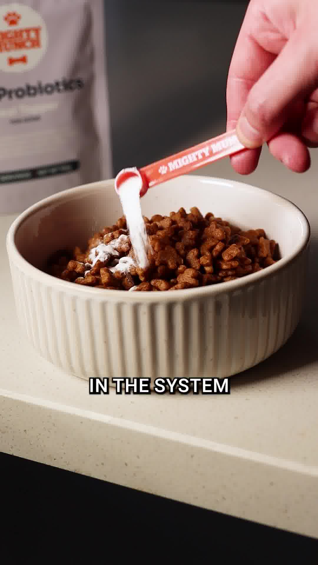 Fix Paw Licking from the Inside Out