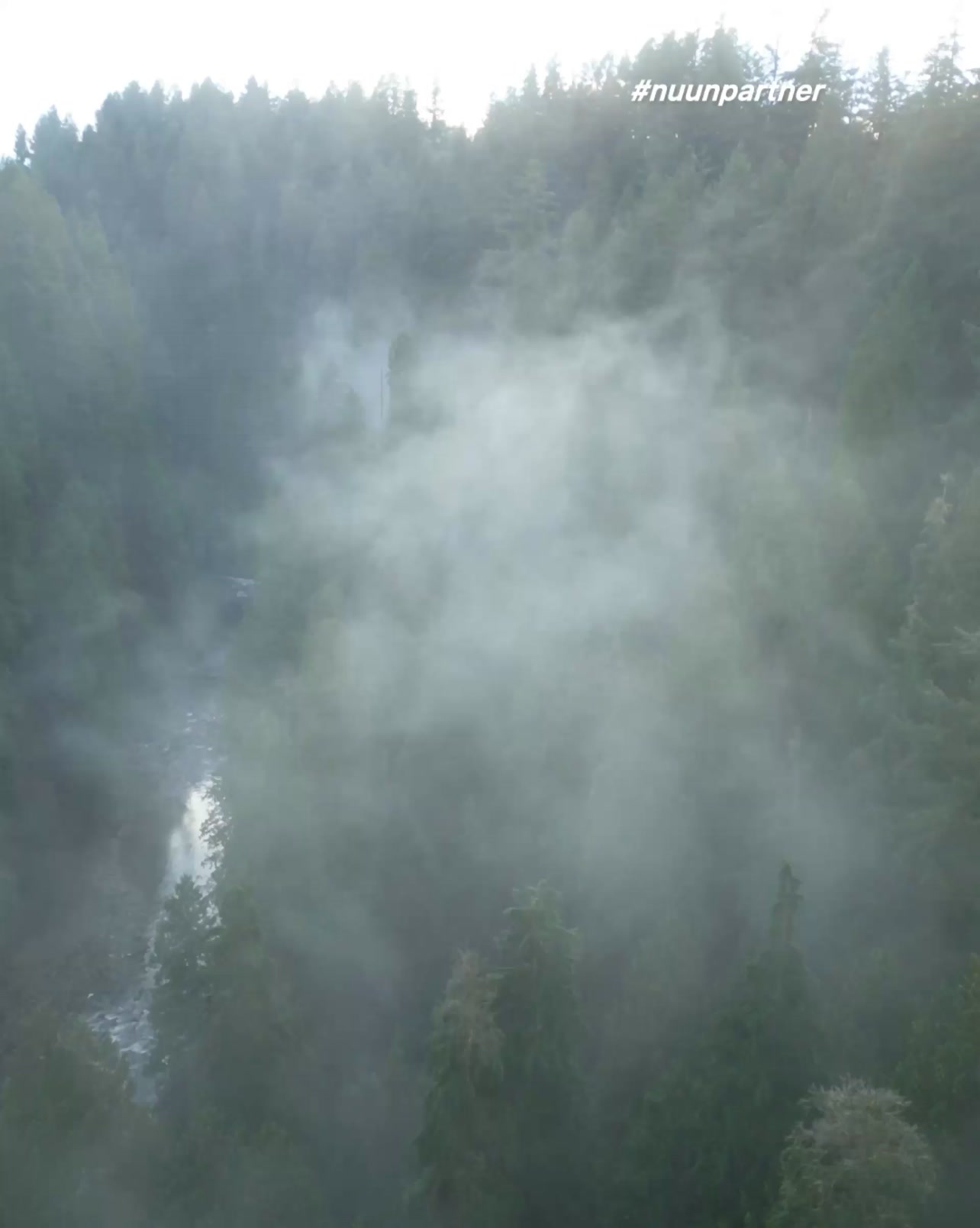 Get Out There 🌲🍃