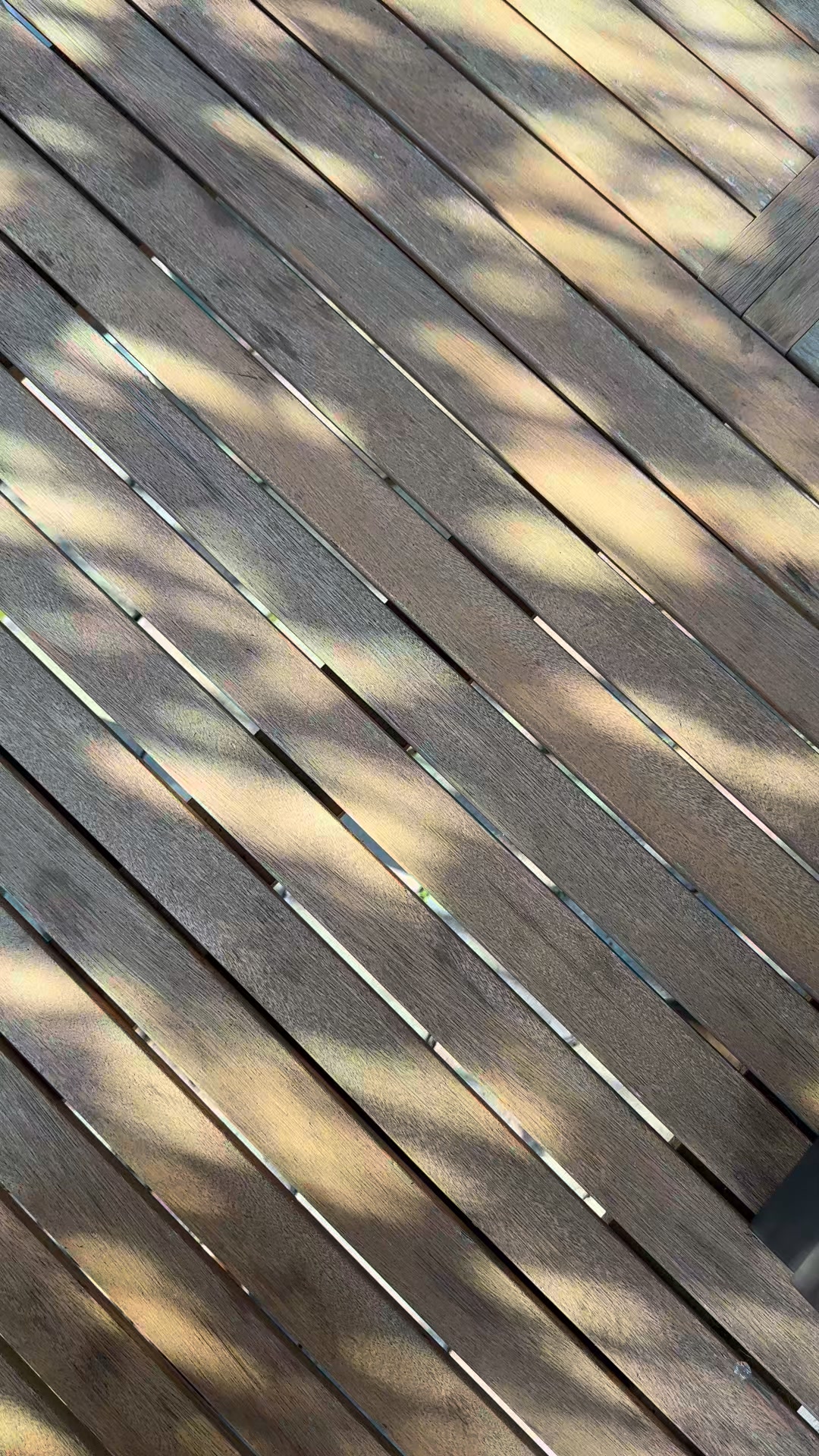 Prova le Duca, a soli 39€