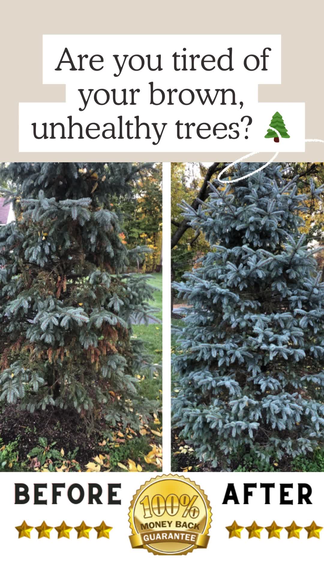 Time To Feed Your Trees!