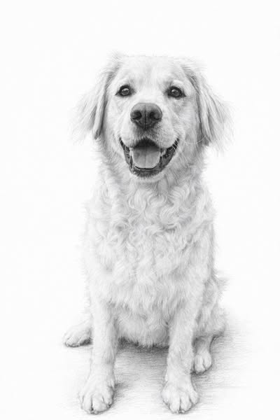 Limited offer - just £6