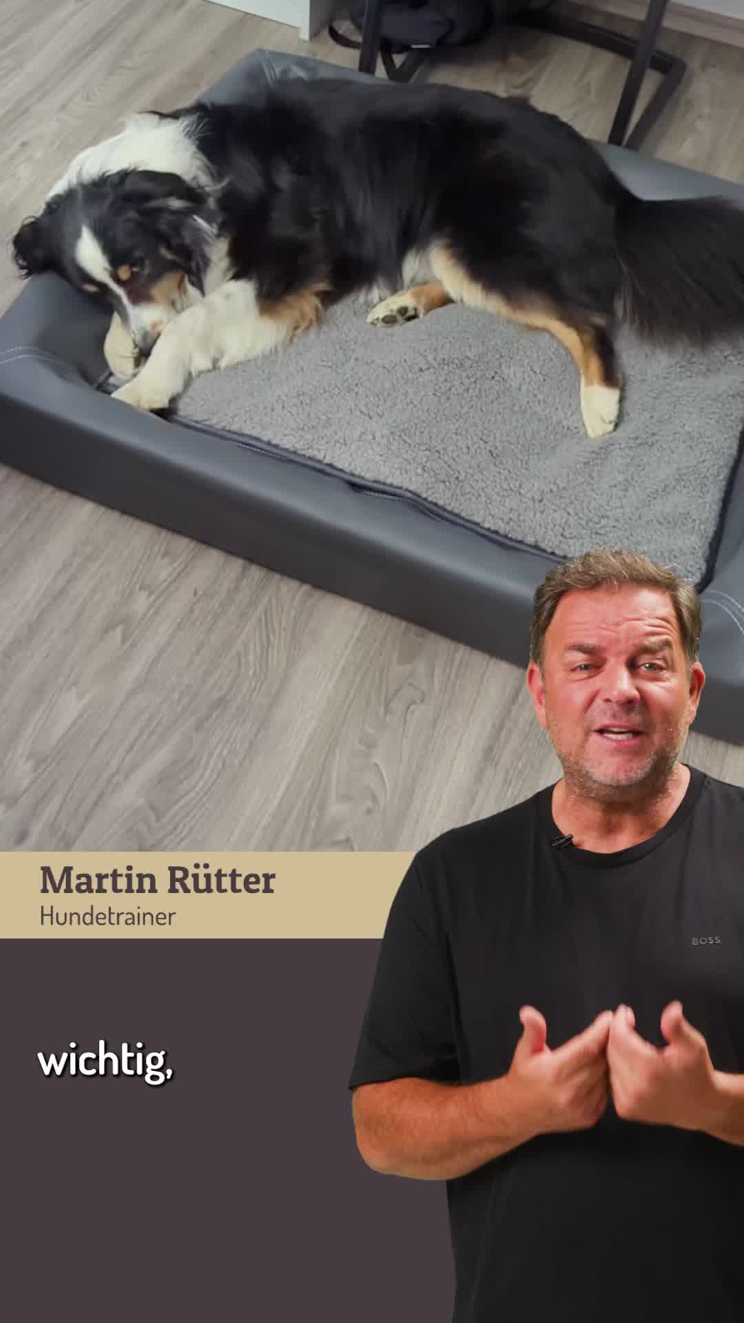 ⭐️⭐️⭐️⭐️⭐️ 500.000+ zufriedenen Kunden