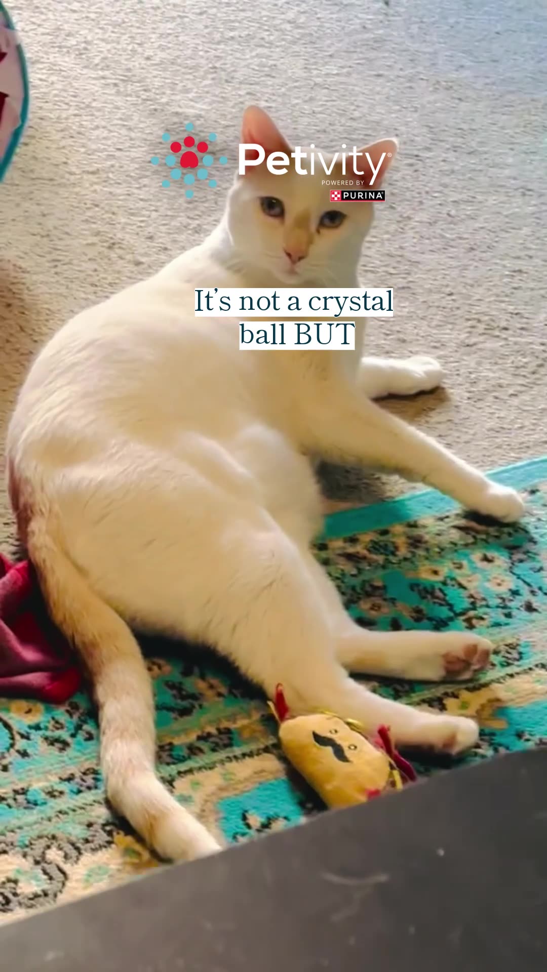 At-Home Kidney Health Test