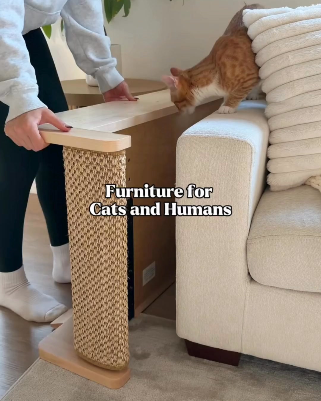The All-in-One Cat Scratcher & Couch Table Combo