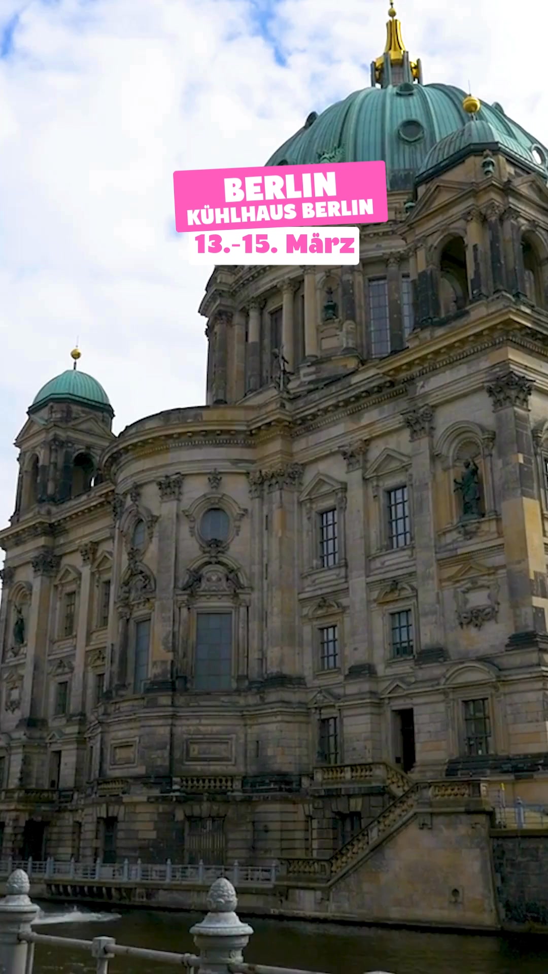 Pflanzen ab 1,99€ 🌿