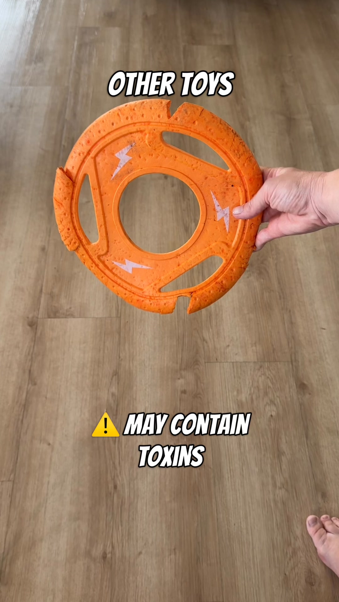 Chewer-Approved, Tommy Tested. 🐶