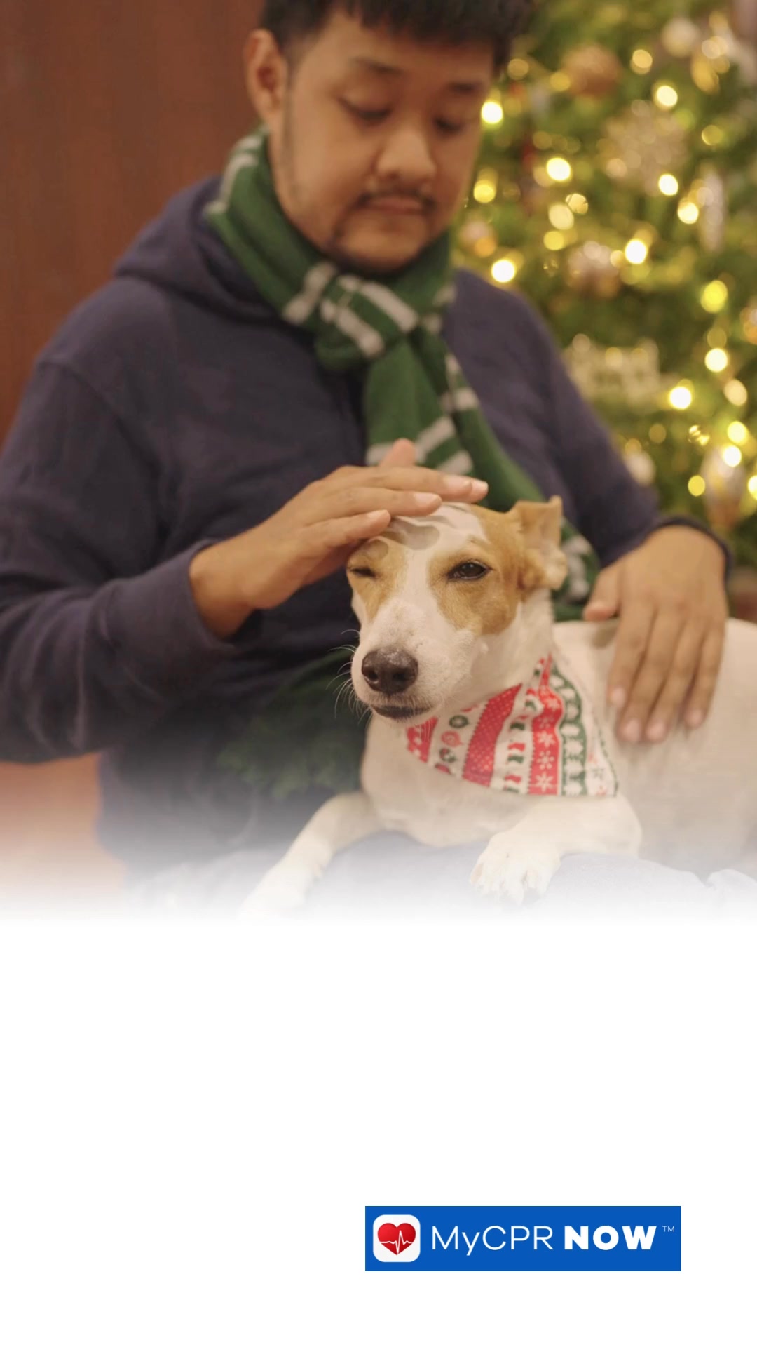 Be the Hero Your Pet Deserves