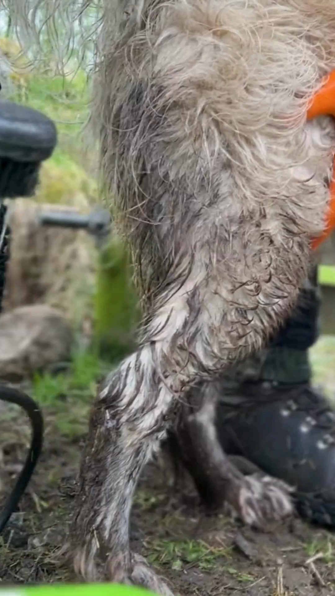 REE Prewash: Upgrade Your Clean-Up