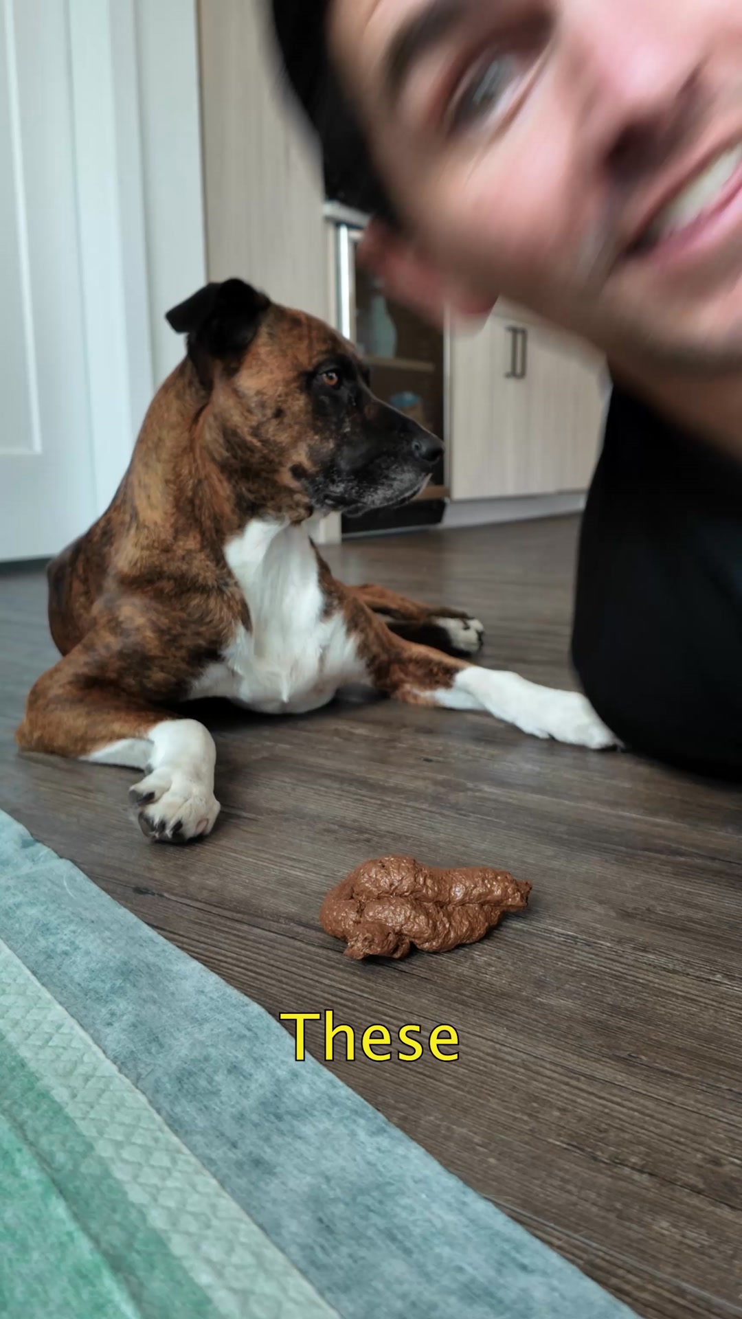 Upgrade Potty Training No Mess No Stress