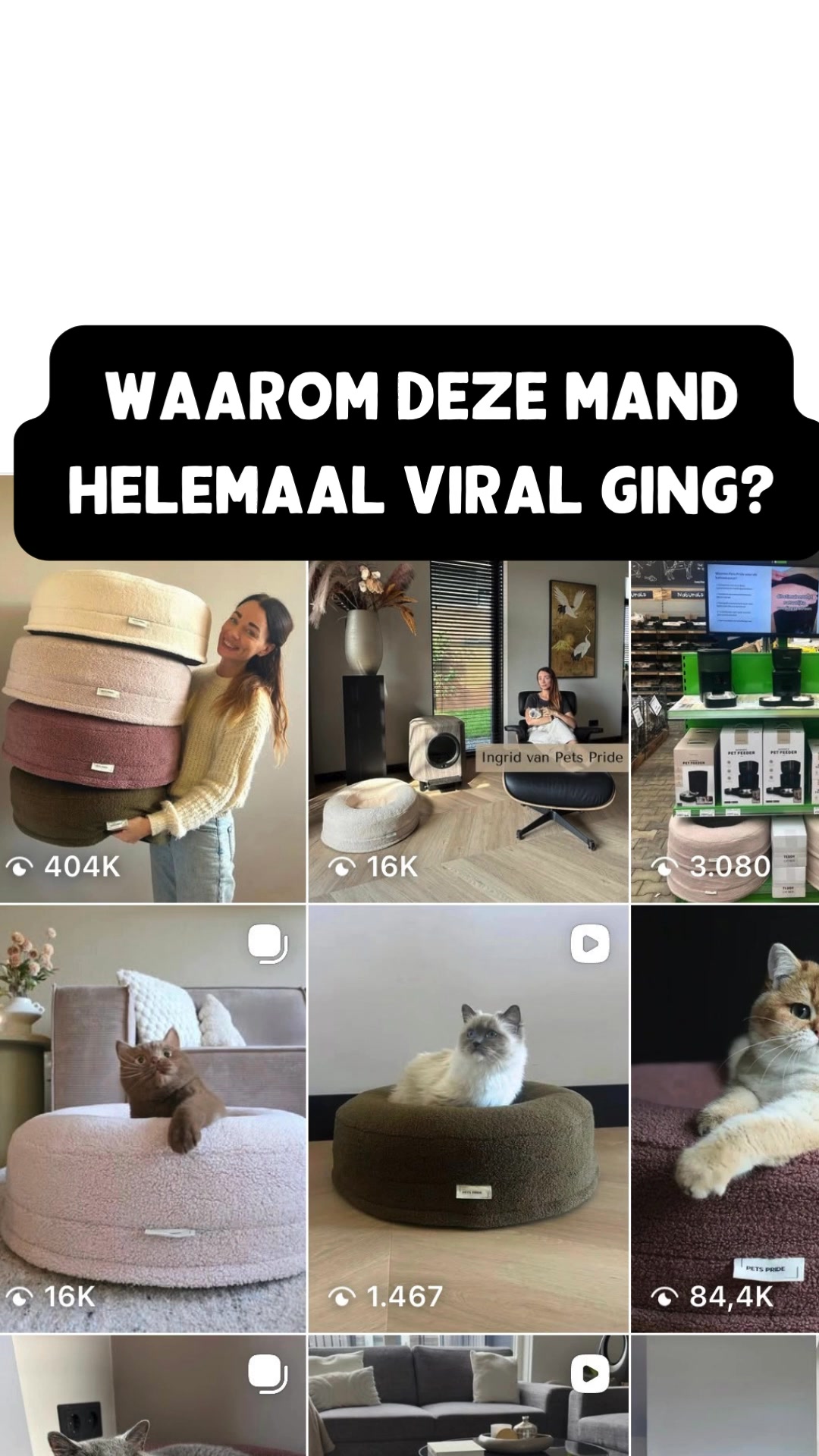 95% van de katten ligt er direct in