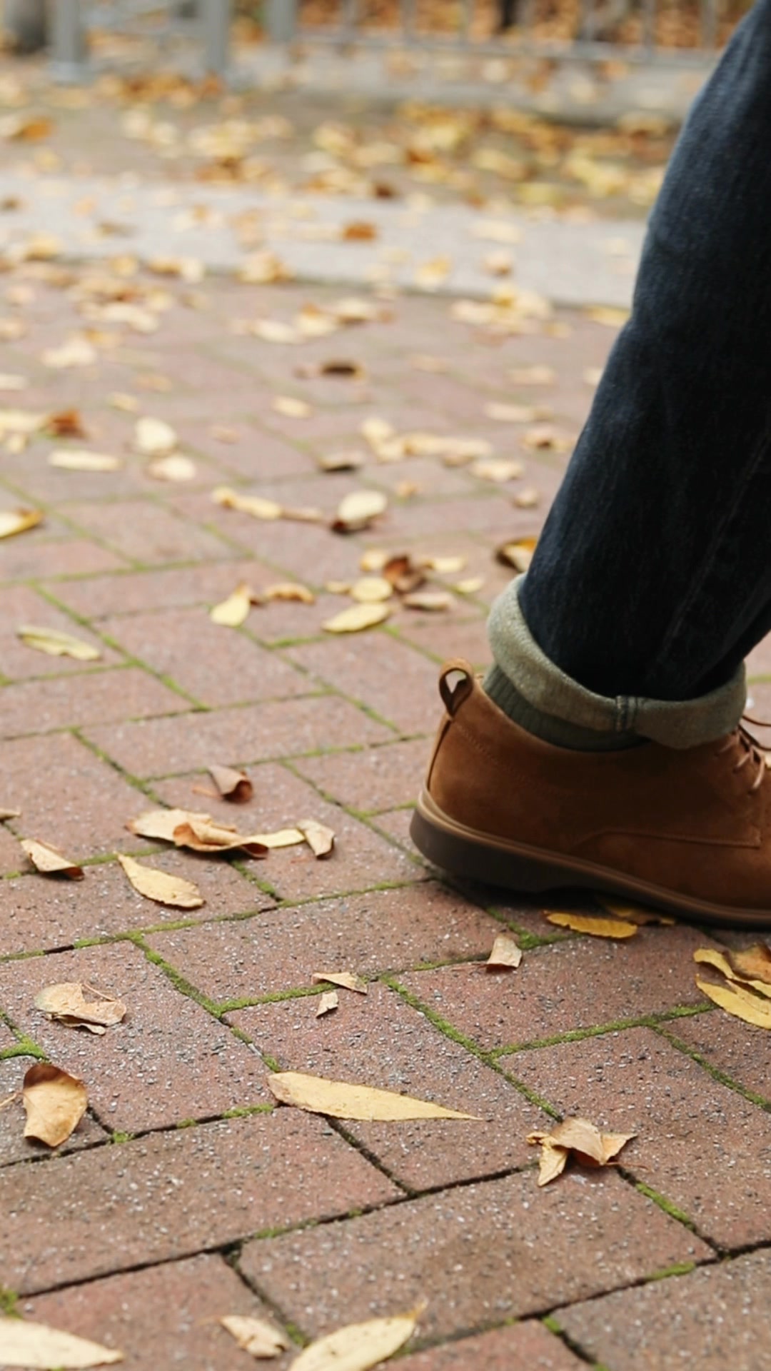 Amberjack's are constantly in my rotation