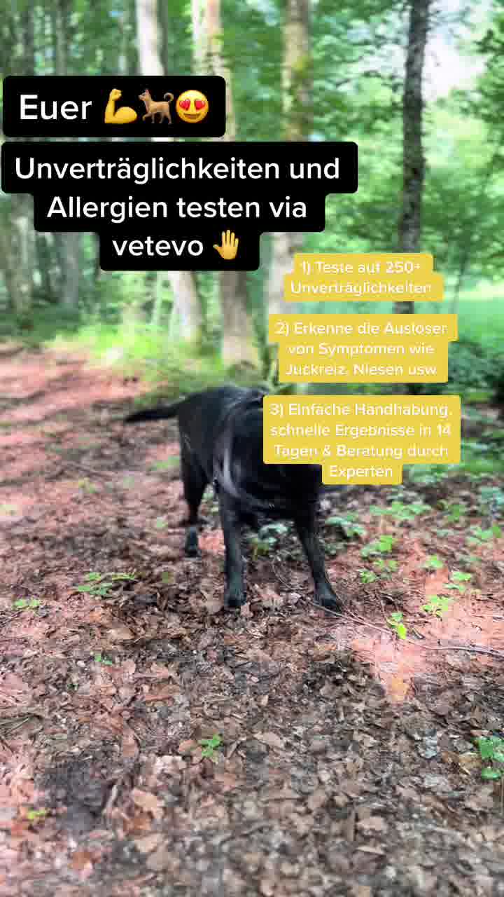 Bis zu 55% mit "SPRING" 🐕❤️