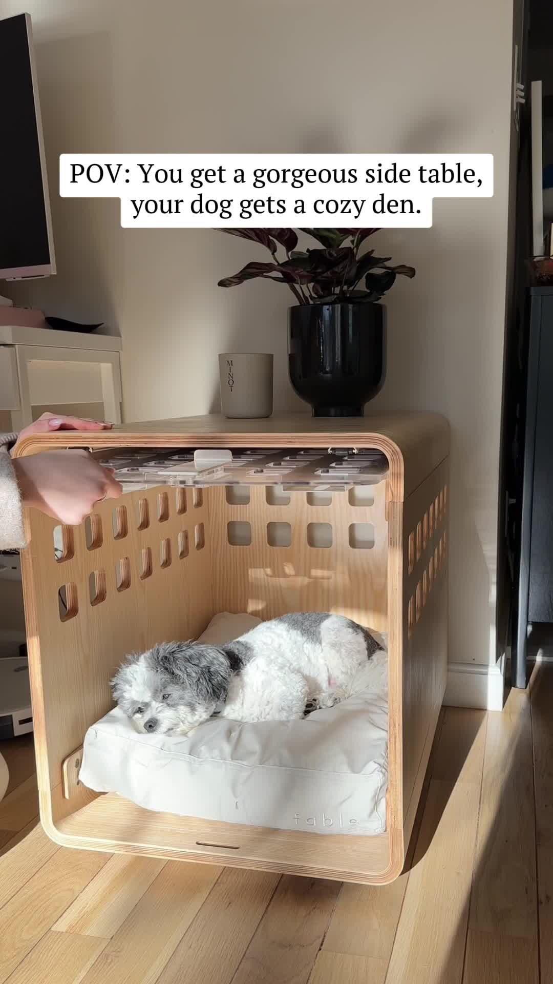 15% Off Your First Order 🦮