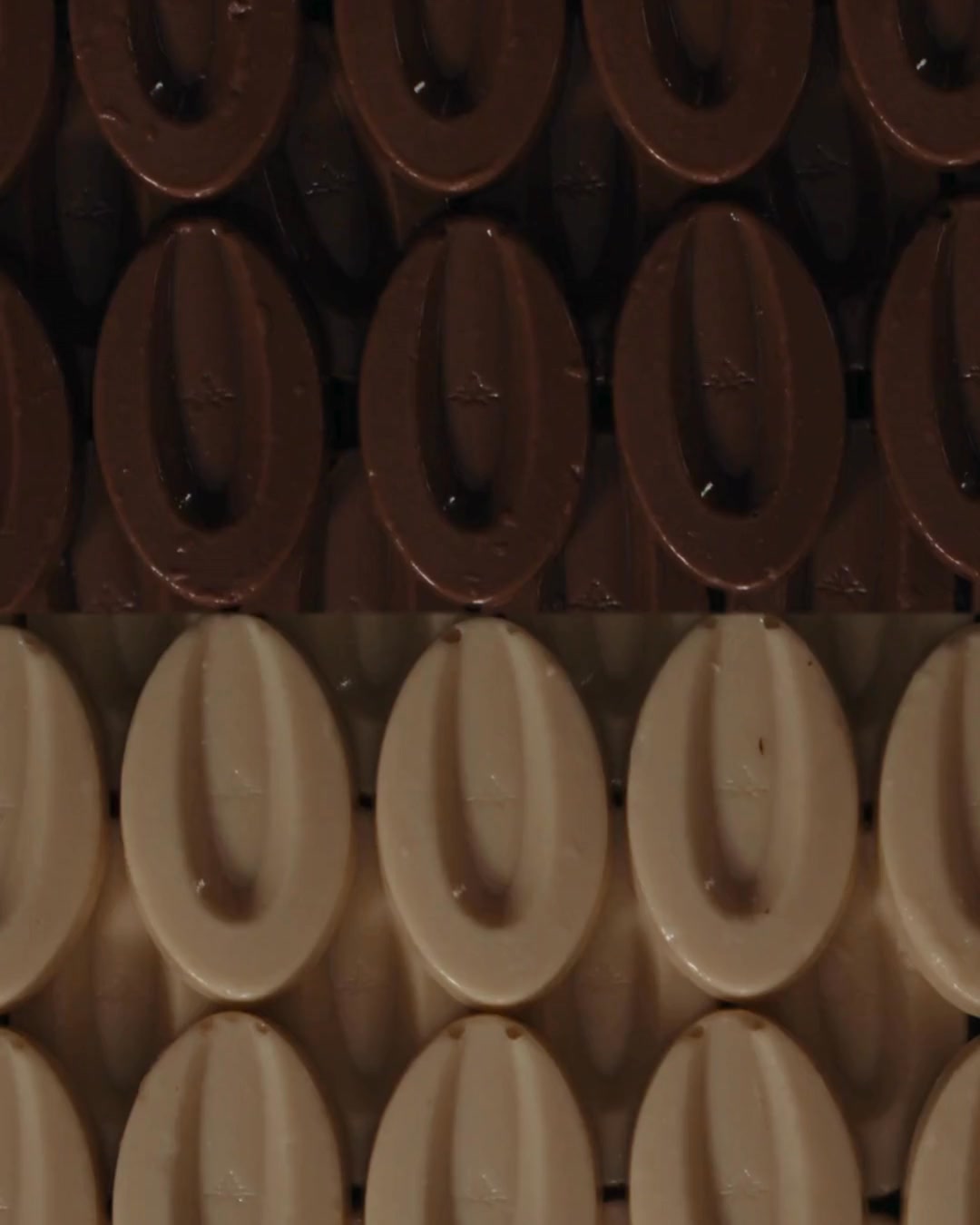 100% plaisir végétal