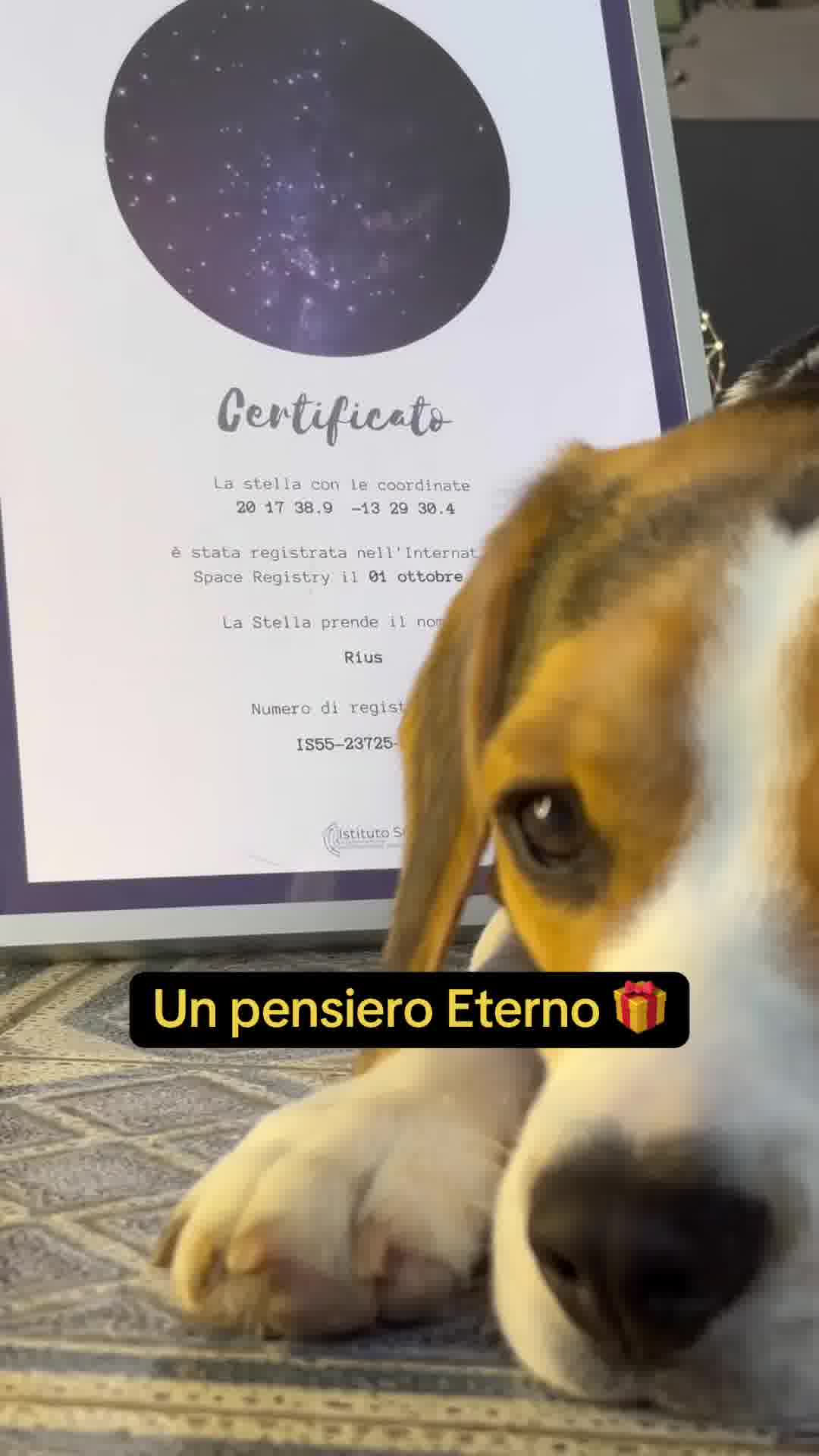 Non puoi sbagliare ✨