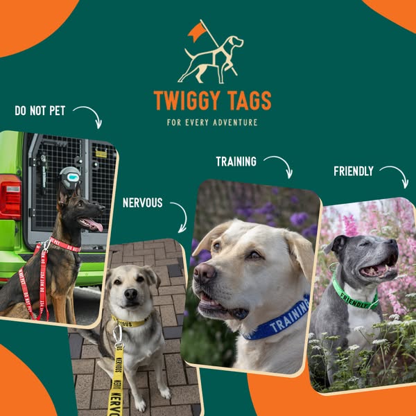 Twiggy Tags