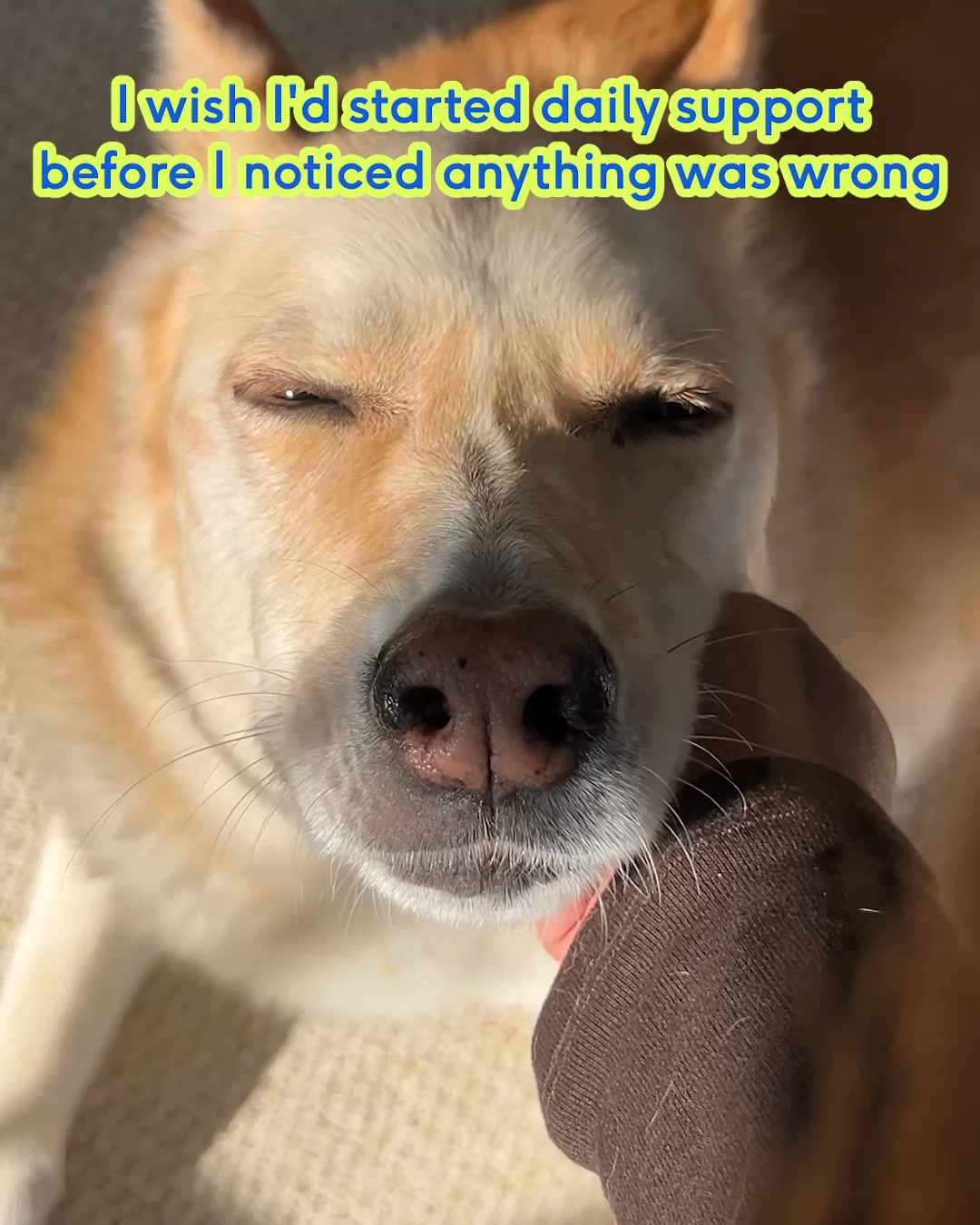 around the bowl nutrition