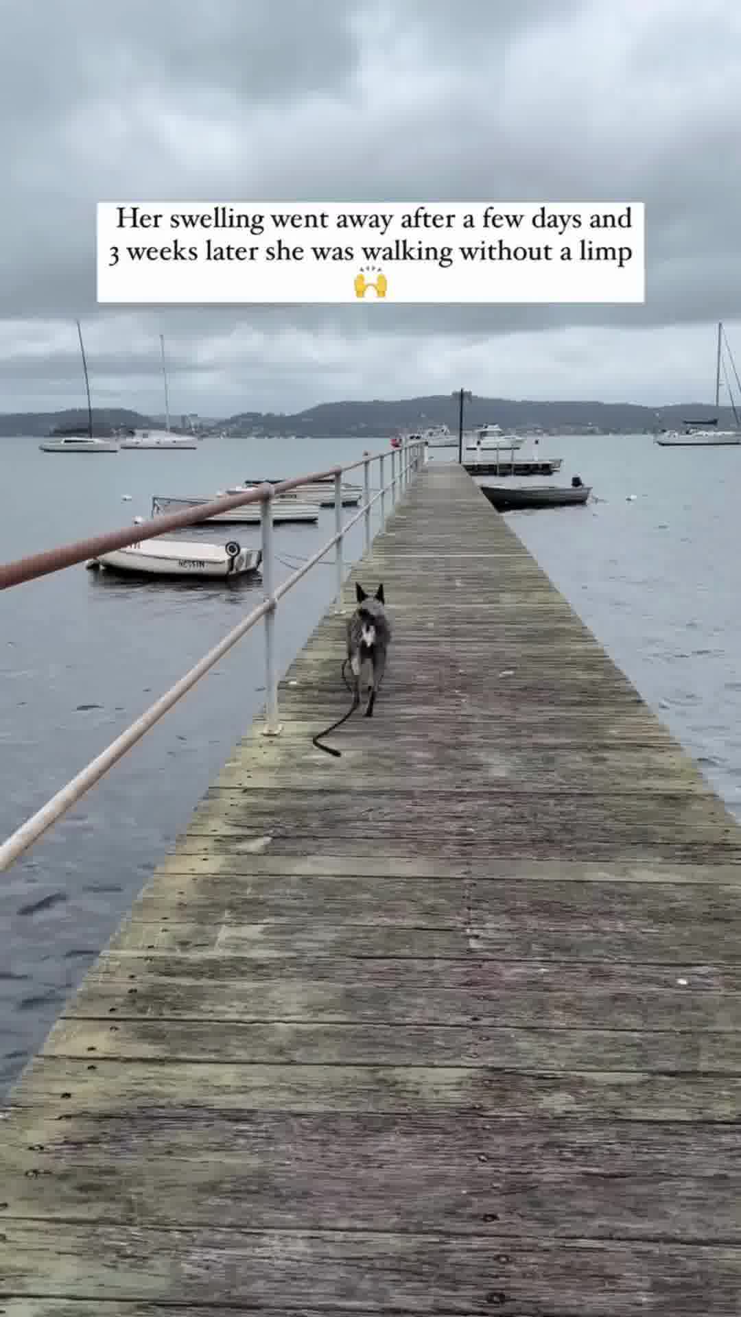 SAVE 50% + FREE SHIPPING