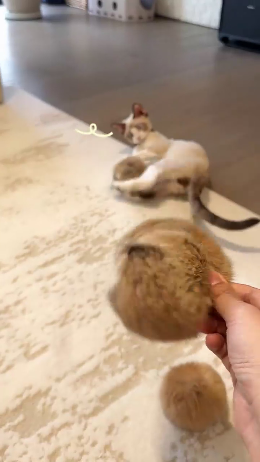 🐾 Perfect for Bunny Kicks