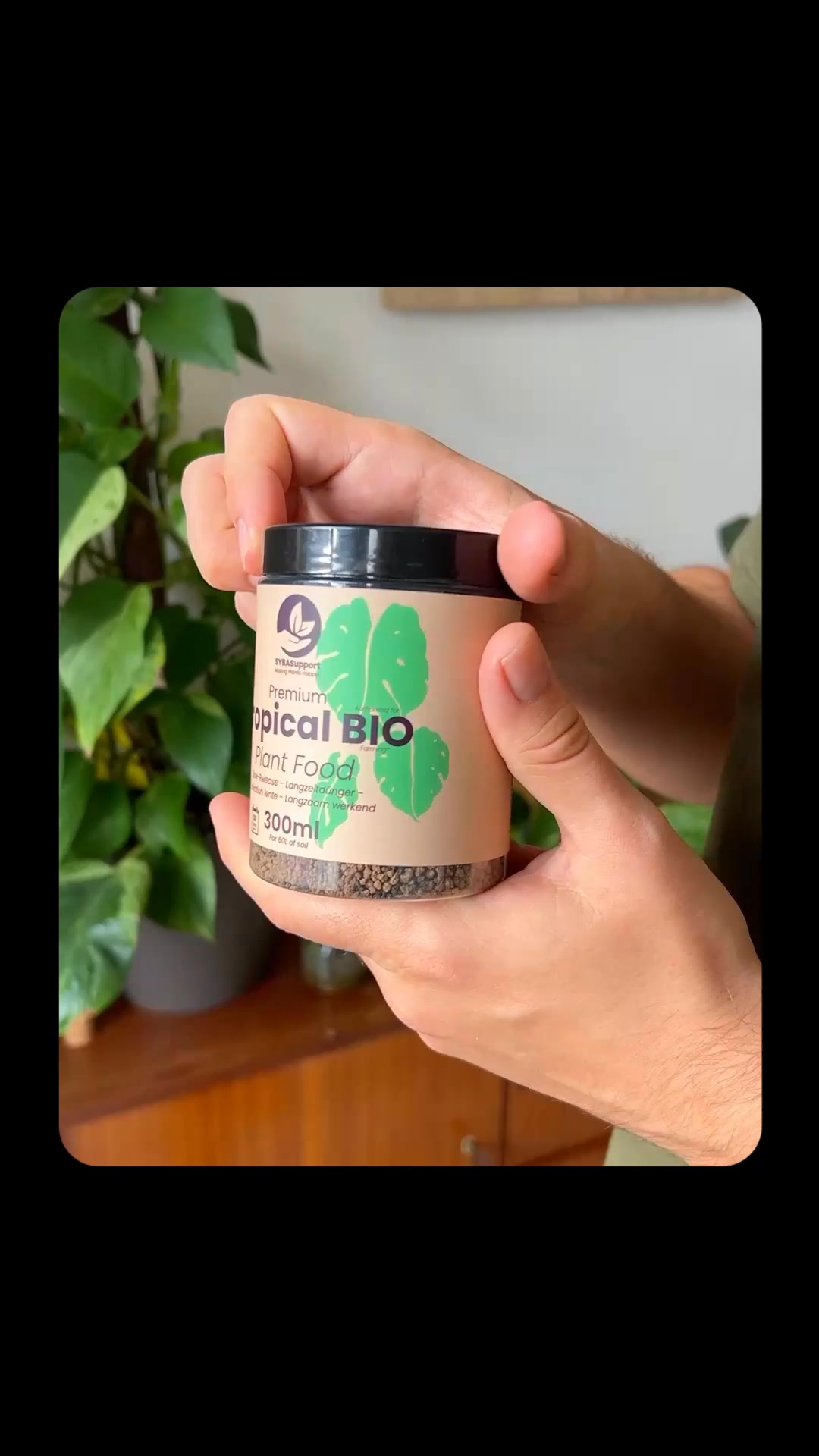 Stronger Roots, Visible Growth 💚