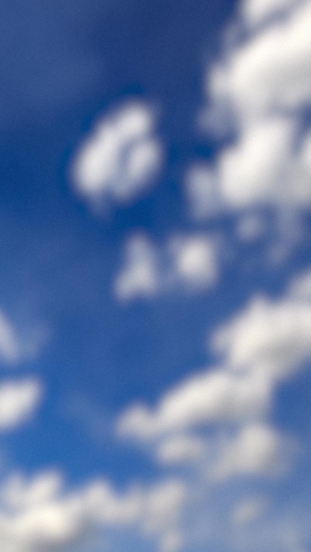 Barista Oat. Delivered Monthly.