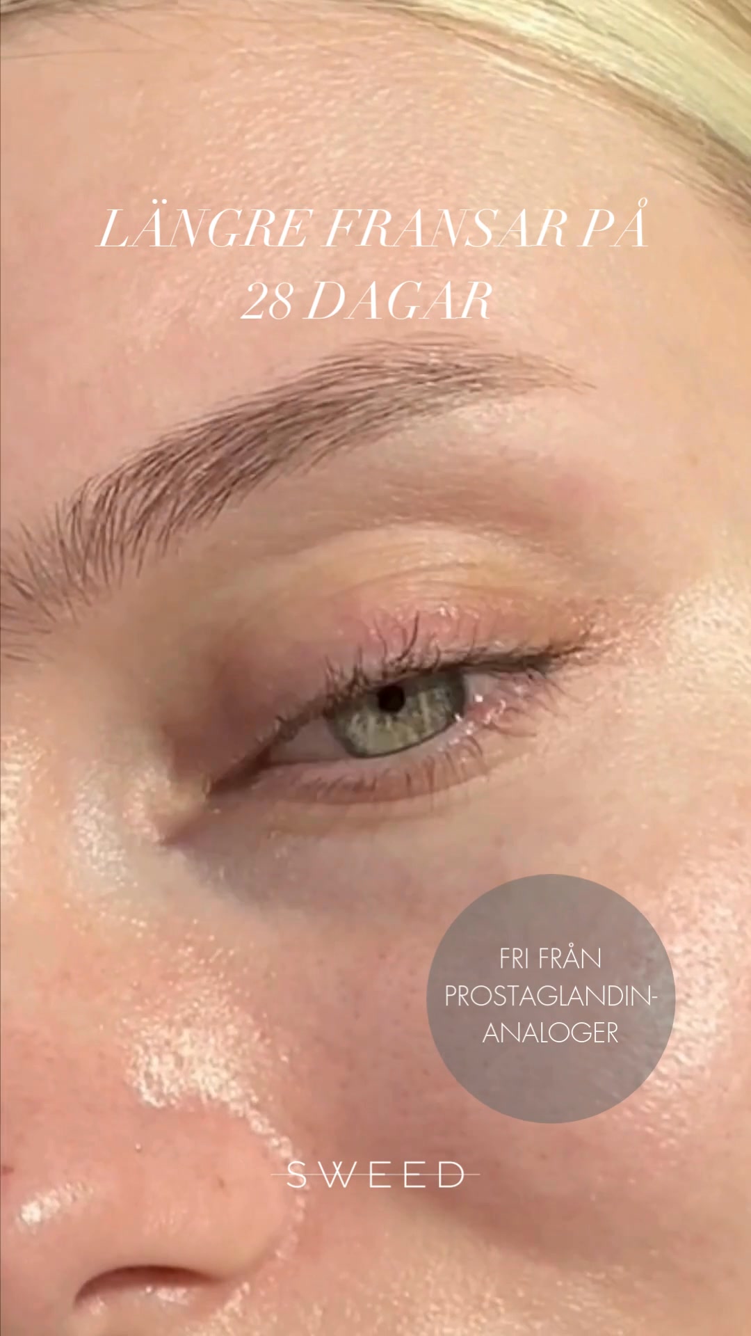 Eyelash Growth Serum