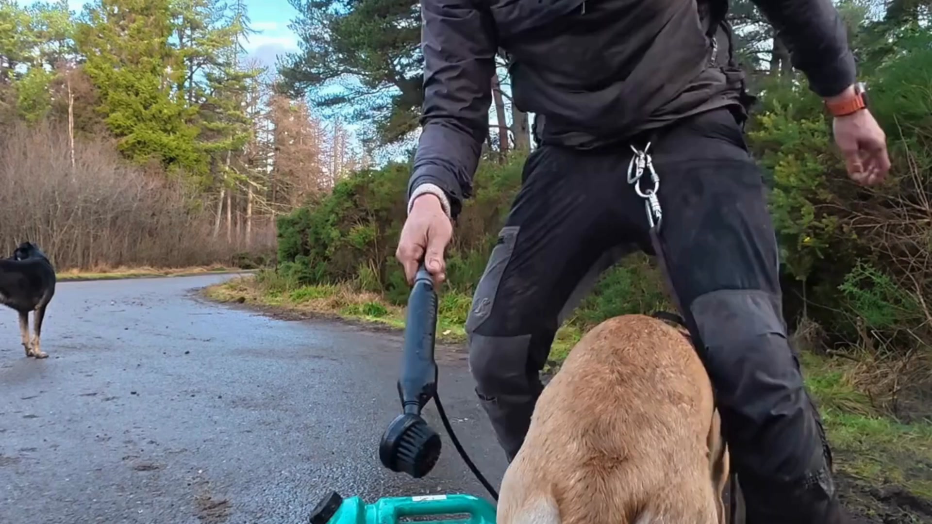 No Drama, No Stress, Just Adventure