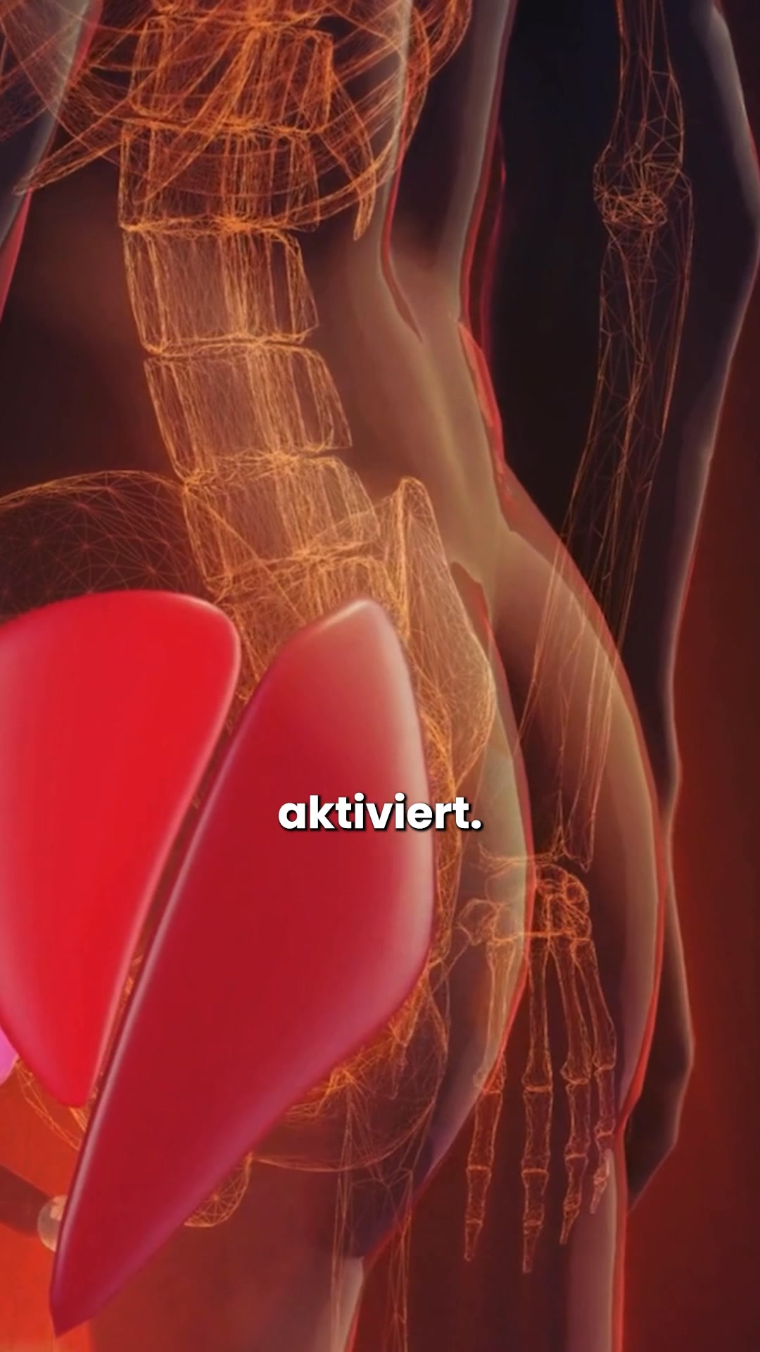 Jetzt zuschlagen nur noch wenige Stück verfügbar!🏄‍♂️