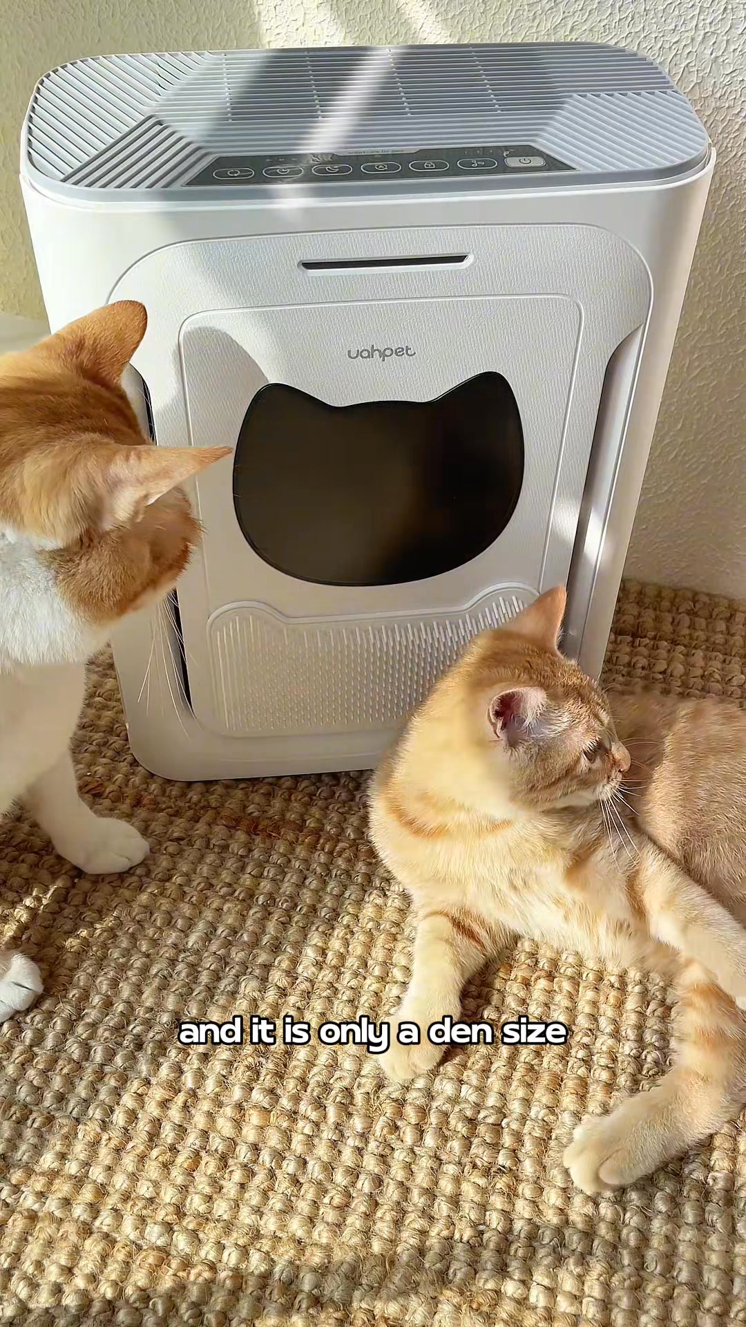 Powerful Pet Hair Purifier