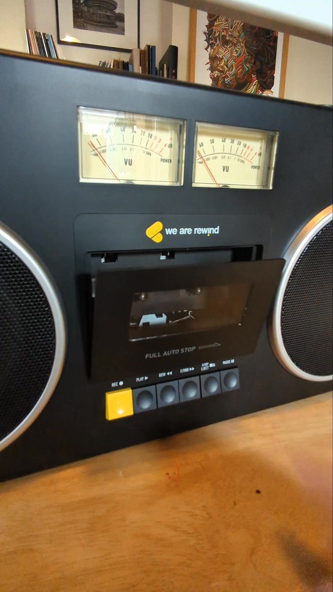 CURTIS IS NOW AVAILABLE TO ORDER!