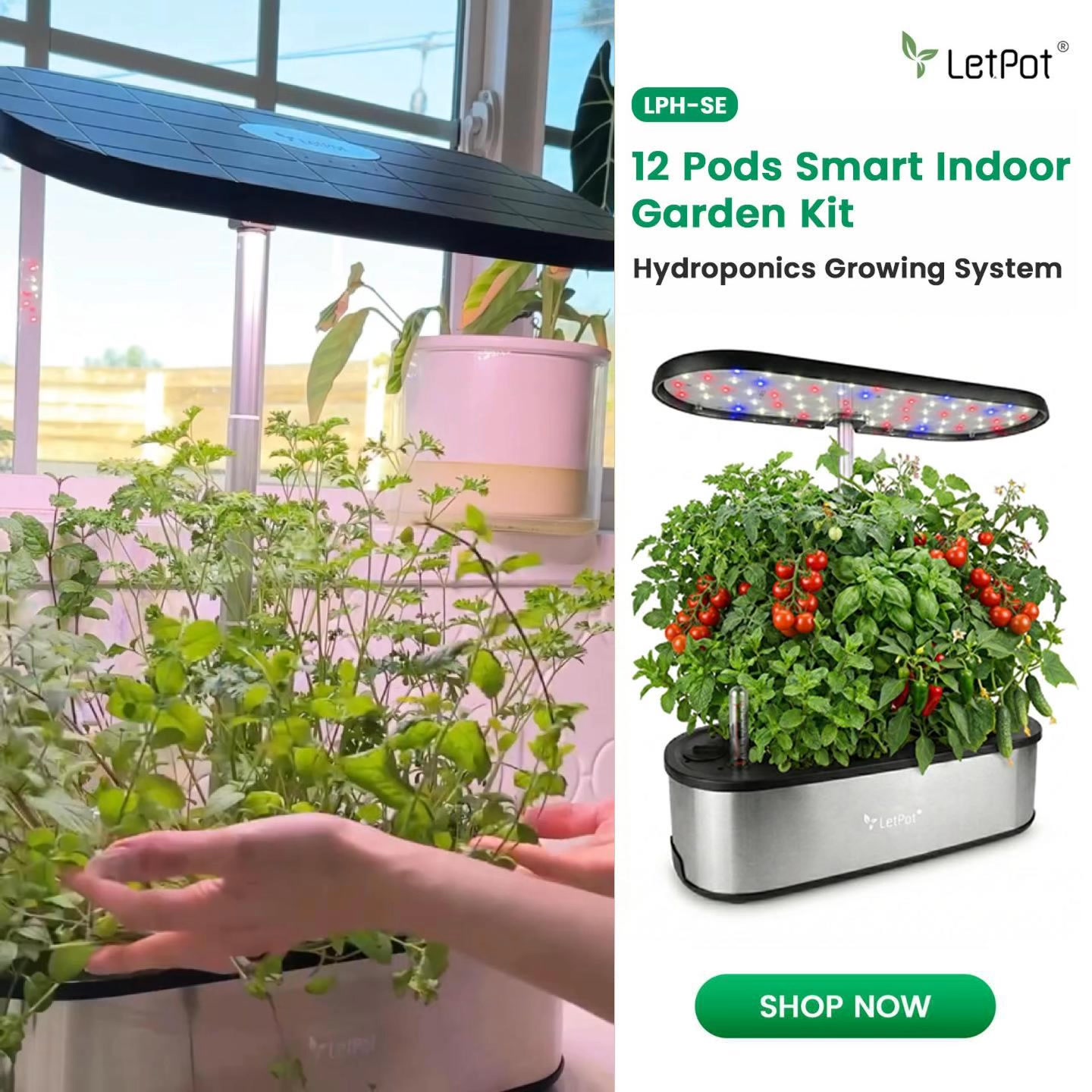 🪴Grow Smarter, Grow Fresh