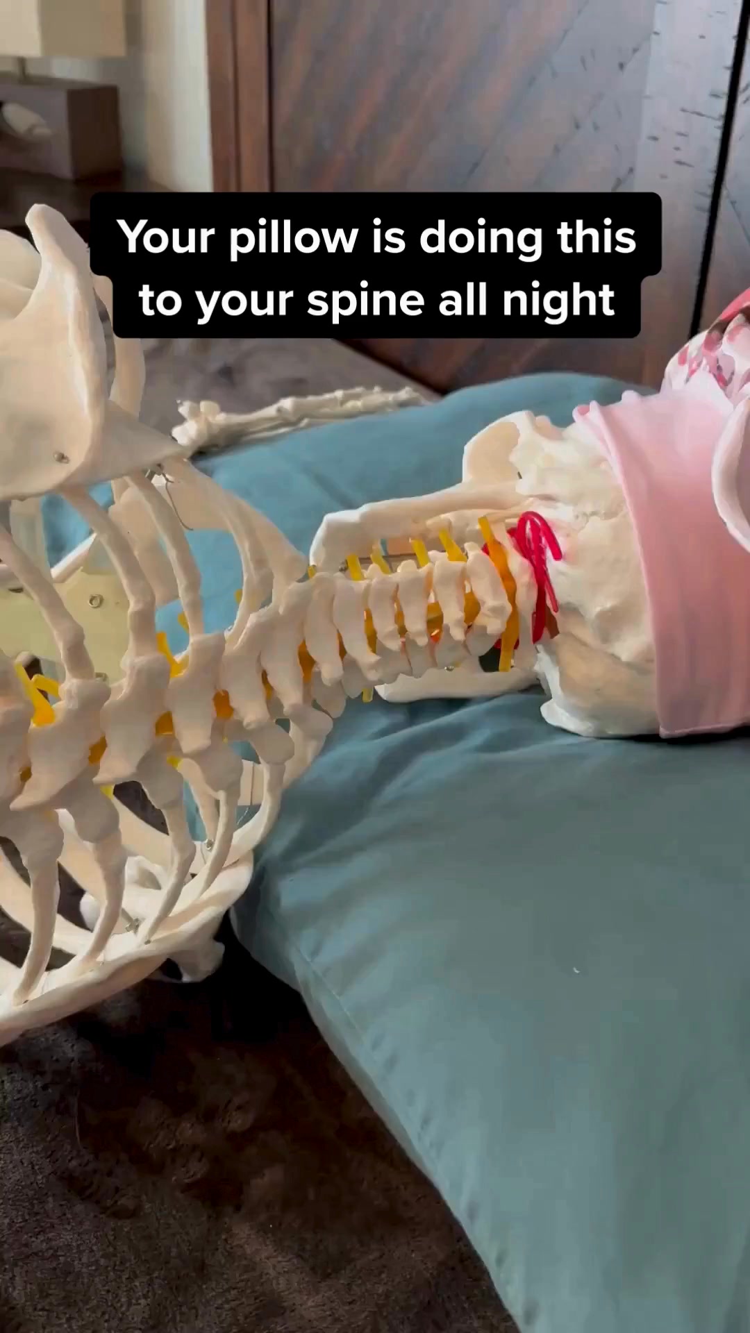 Alignment at Night Changes Mornings.